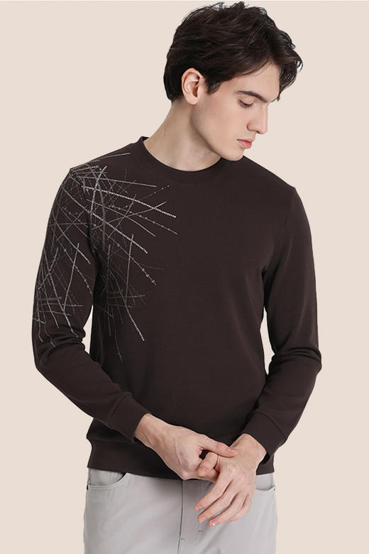 callisto棕色棉混纺卫衣 STFLE052C 商品图0