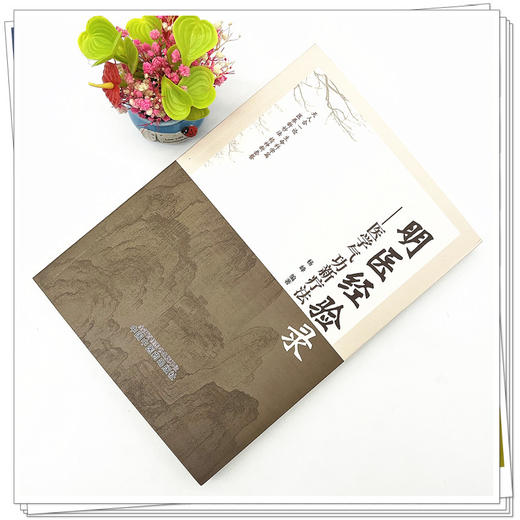 明医经验录 医学气功新疗法 杨峰 编著 中国中医药出版社 中医临床 书籍 商品图2