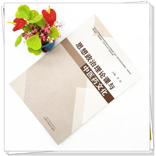 思想政治理论课与中医药文化 许佳 主编 中国中医药出版社 商品图2