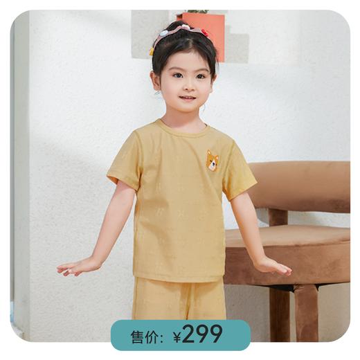 i-baby家居系列盲盒  随机发货 商品图6