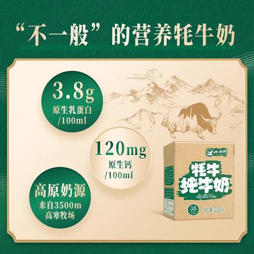 【秒杀】青海特产小西牛牦牛纯牛奶200ml*12盒 商品图5