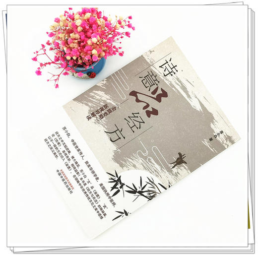 【出版社直销】诗意品经方 《金匮要略》新视界解读 苏小白 主编 中国中医药出版社 中医临床 书籍 商品图2