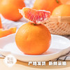重庆长寿湖  血橙  多规格任选 商品缩略图3