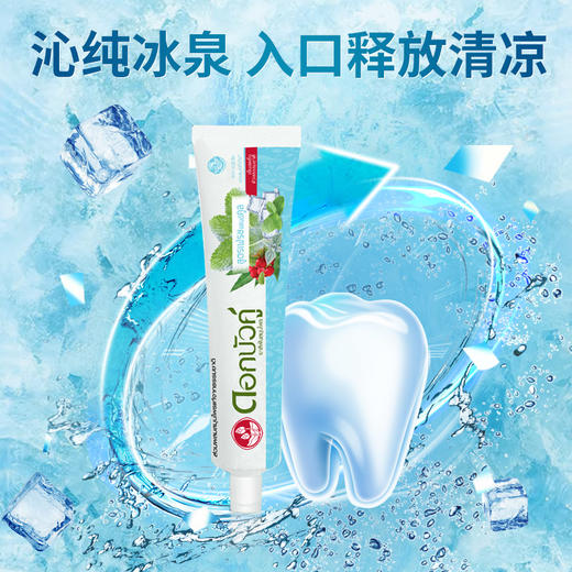 泰国双莲天然植物冰泉酷爽牙膏150g（泰版） 商品图5