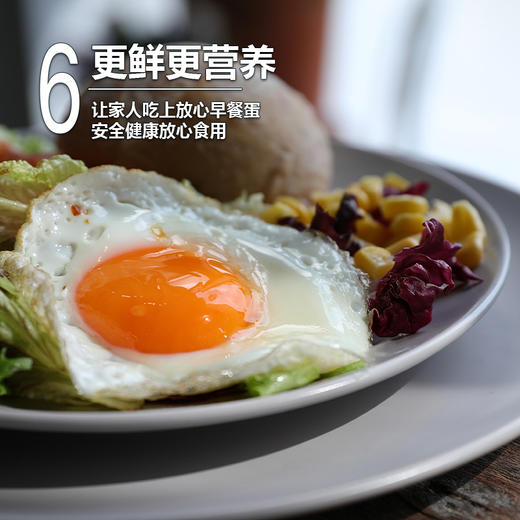 【可生食鸡蛋】1盒30枚 蛋鲜森 早餐 酥油炒鸡蛋 减肥午餐 商品图6