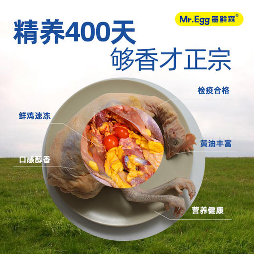【超嫩童子鸡】&【黄油老母鸡】3只 蛋鲜森 白切鸡手撕鸡专用  炖汤老母鸡  无抗鸡肉 商品图5