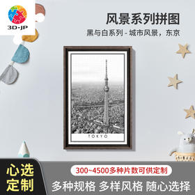 心选定制 H2613 黑与白系列-城市风景，东京