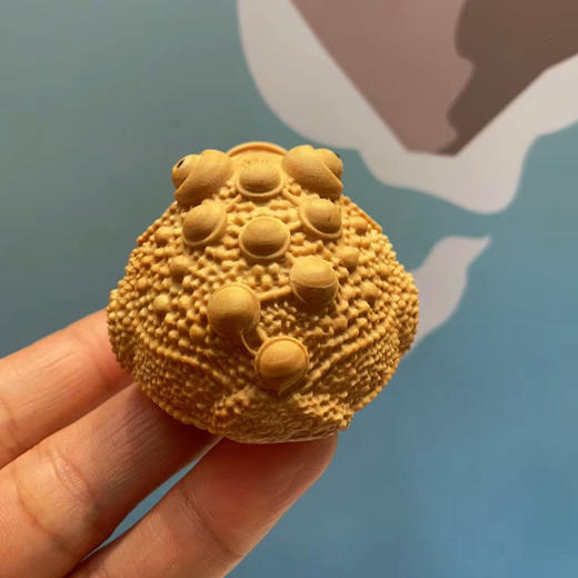 三足金蟾°黄杨木小摆件/把件 商品图3