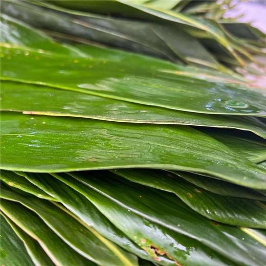 周一发货【2026 纯手作青团】老底子传统江南美食，清明粿，野生艾青搭配新鲜笋、荠菜、肉沫，软糯香韧。咸口、甜口任选，第三仓发货，江浙沪皖顺丰包邮~ 商品图6