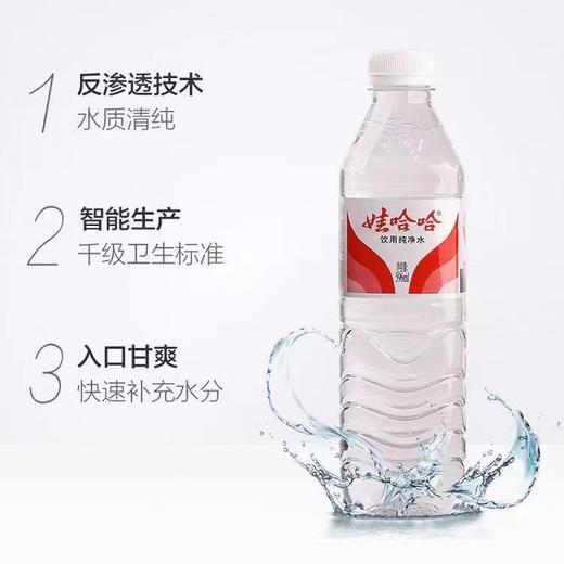 娃哈哈饮用纯净水596ml*24 商品图1