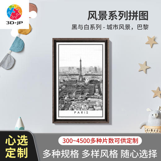 心选定制 H2614 黑与白系列-城市风景，巴黎 商品图0