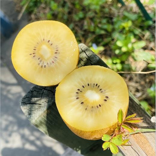西藏雪域金果🥝纯天然、绿色、无化肥、无农药、无污染，果大汁多，自然熟，，是国内猕猴桃中"爱玛仕" 商品图2