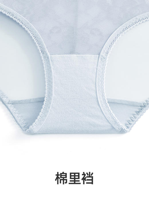 HSIA遐 蕾丝内裤女 倾城之恋HSIA遐 蕾丝内裤女 倾城之恋底裆纯棉低腰性感火辣透明超薄款平角内裤裆纯棉低腰性感火辣透明超薄款平角内裤 商品图4