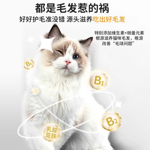 【犬猫通用X】（1瓶200片）爪爪博士猫草片猫咪化毛球片调理吐毛排毛化球，温和不伤胃（狗狗可吃） 商品图3