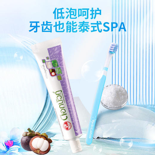 泰国双莲萃盐草本牙膏 90g 商品图4