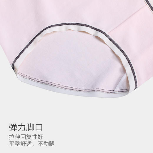 美季美优时尚纯棉女士内裤N450301 商品图3