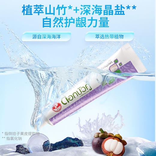 泰国双莲萃盐草本牙膏 90g 商品图3