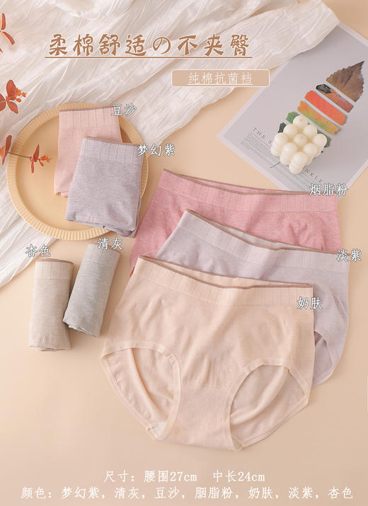 女士安可拉红腰头印花撞色加大版裸氨无缝内裤91118/534/5002/2033 商品图3