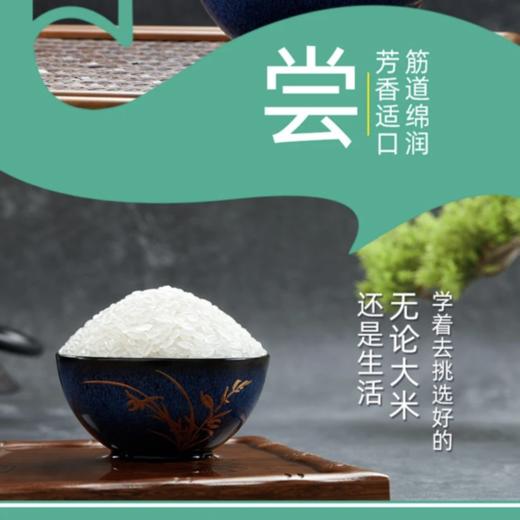 25年新米【商超同款】寒露长粒香米 |1袋10斤 商品图3