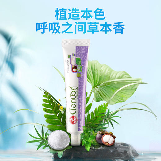 泰国双莲萃盐草本牙膏 90g 商品图5
