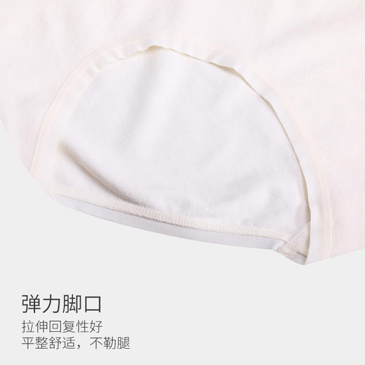 美季美优无缝大版女士内裤N450103 商品图3