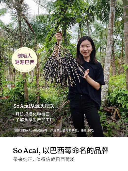 SoAcai 巴西莓粉100g 商品图2