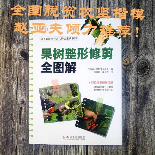 官网 果树整形修剪全图解 日本农山渔村文化协会 14种果树修剪入门教程书籍 商品图1