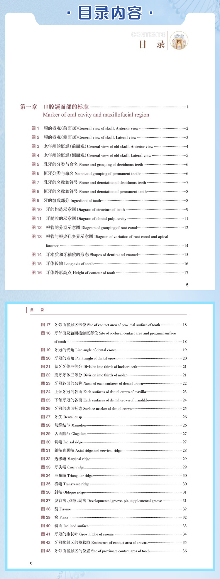 西医02_04.jpg