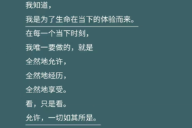 06 应对焦虑的“故事思维”
