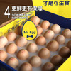【可生食鸡蛋】1盒30枚 蛋鲜森 早餐 酥油炒鸡蛋 减肥午餐 商品缩略图4