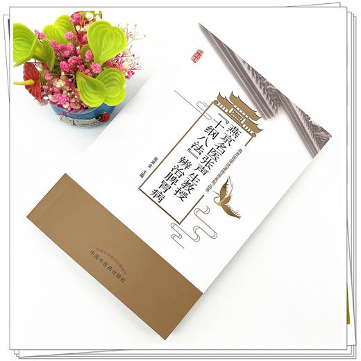 燕京名医张声生教授“十纲八法”辨治脾胃病  张声生 著 中国中医药出版社 燕京医学流派传承系列丛书 商品图2