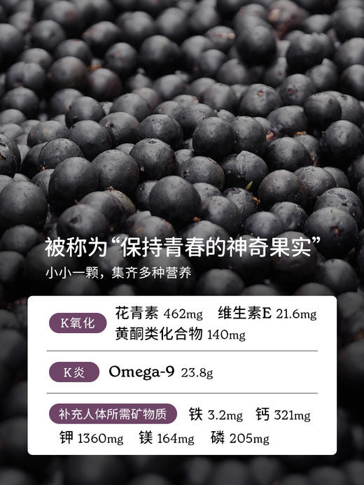 SoAcai 巴西莓粉100g 商品图1