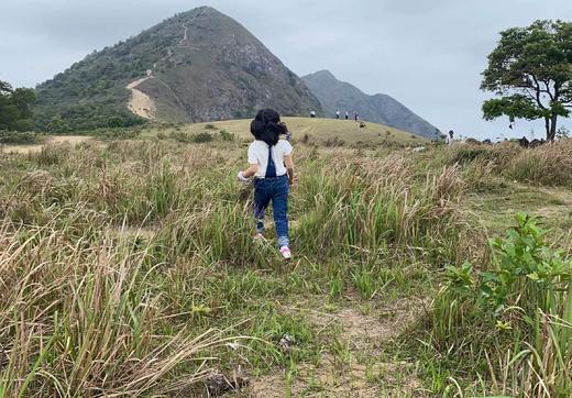 走读世界 | 山海里的香港故事 商品图1