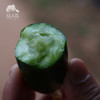 生态小黄瓜| 合作生产*Ecological cucumber | Coproducted 商品缩略图1