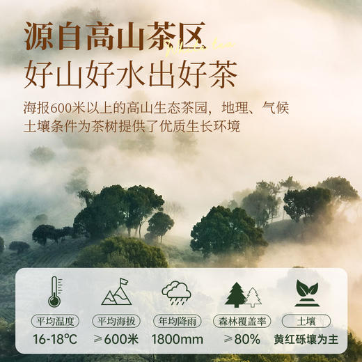 茶马世家白毫银针金奖 特级头采云南老树花果香白茶 罐装100克 商品图1