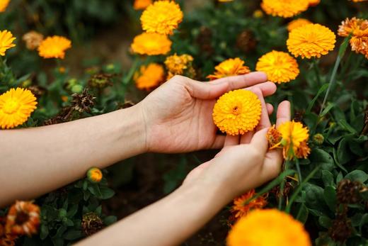 EX-095 触觉心探索: 眼部自我按摩 王静妮 商品图1