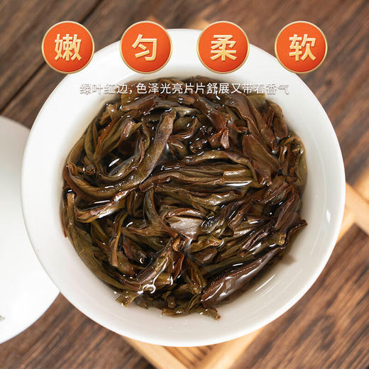 【鳳凰茶山 天然好茶】凤凰单丛鸭屎香春季口粮茶茶叶400g 商品图3