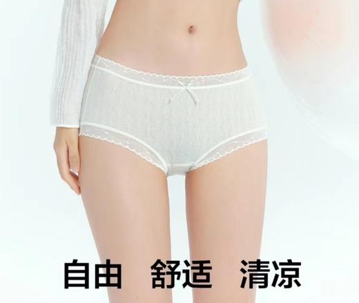 3316-1小花卷叶子提花中腰内裤 商品图3