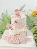 公主风主题蛋糕，全部可食用翻糖装饰，请提前三天预定哦 商品缩略图0
