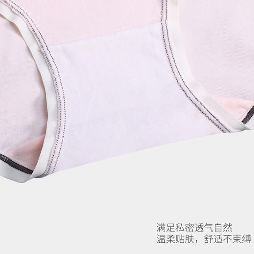 美季美优时尚纯棉女士内裤N450301 商品图2