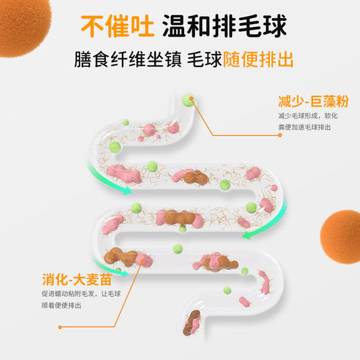 【犬猫通用X】（1瓶200片）爪爪博士猫草片猫咪化毛球片调理吐毛排毛化球，温和不伤胃（狗狗可吃） 商品图1