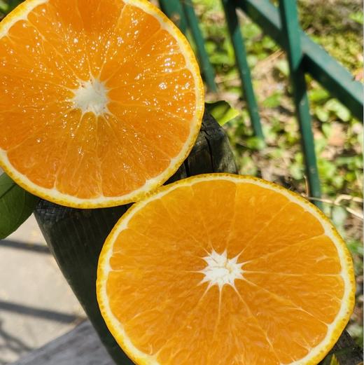 🌹太喜欢黄美人了～ 黄美人比红美人更明媚更娇气，看上去就讨人喜欢，娇俏迷人，有甜橙般的香气和比橘子还薄的皮。果面浓橙色，果肉细嫩化渣，高糖优质，有甜橙般香气，口感香甜润滑，颠覆了柑橘原有的口感。 商品图1