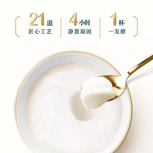 伊利缤纷凝酪酸奶220g/杯 商品图2