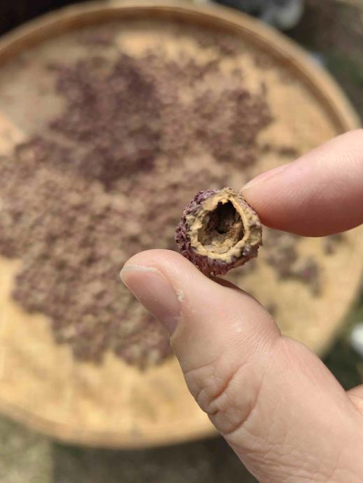 坏胖的一杯茶 每包30小袋 原味 茉莉  6克/泡 商品图9