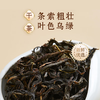 【鳳凰茶山 天然好茶】凤凰单丛鸭屎香春季口粮茶茶叶400g 商品缩略图2