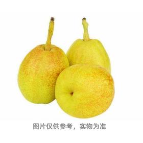 香梨（4个装）{南医店专用}（13010122）