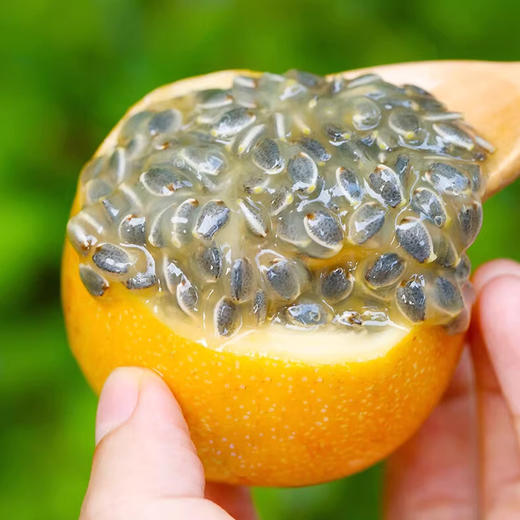 云南版纳热情果  清香怡人  满满VC    香甜多汁  外表金黄 果肉嫩滑  感受汁水在舌尖迸发的美妙滋味！ 商品图4