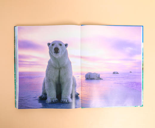 2024版BBC科普三部曲，限量印章版 商品图6