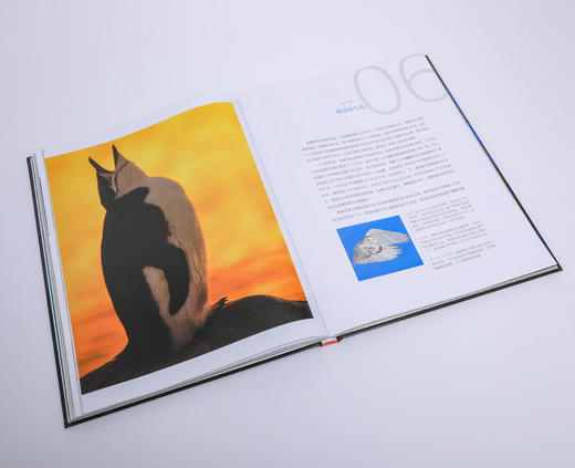 2024版BBC科普三部曲，限量印章版 商品图2