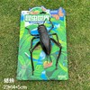 昆虫世界模型 商品缩略图6